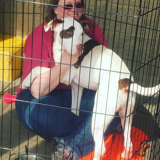 Pet Supply Store «PetSmart», reviews and photos, 1370 Dogwood Dr SE, Conyers, GA 30013, USA