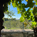 Photo n°2 de l'avis de Leonardo.o fait le 12/09/2022 à 17:42 sur le  Osmica Rebula - Slivno/Slivia à Slivia