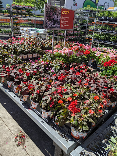 Home Improvement Store «The Home Depot», reviews and photos, 782 PA-113, Souderton, PA 18964, USA