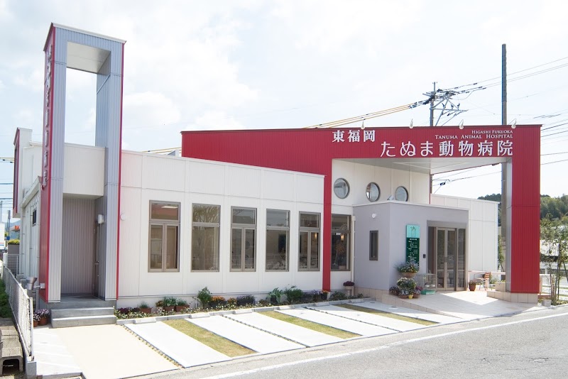 東福岡たぬま動物病院