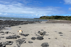 Flinders Beach Dog Off Leash Area