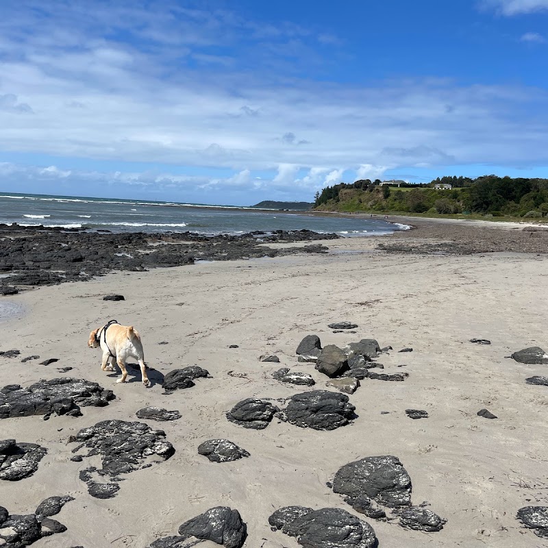 Flinders Beach Dog Off Leash Area