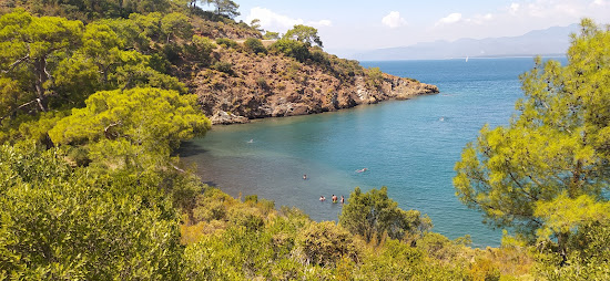 Gazi Koyu