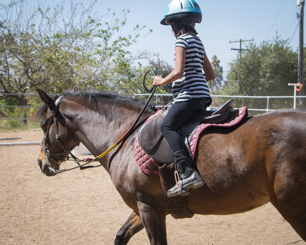 Dream Rider Equestrian Therapy