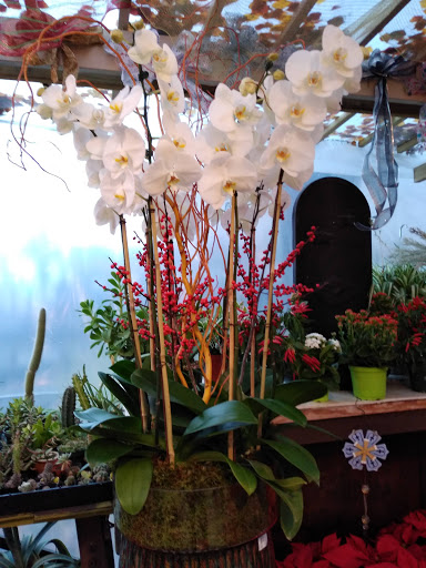 Florist «Tanglewood Flowers & Garden», reviews and photos, 5518 Dolores St, Houston, TX 77056, USA