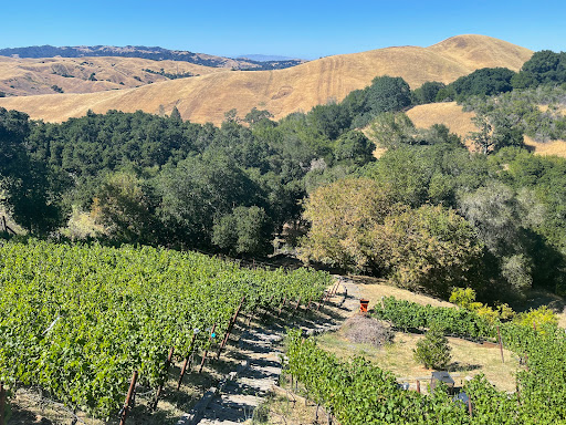 Vineyard «Captain Vineyards», reviews and photos, 1969 Joseph Dr, Moraga, CA 94556, USA