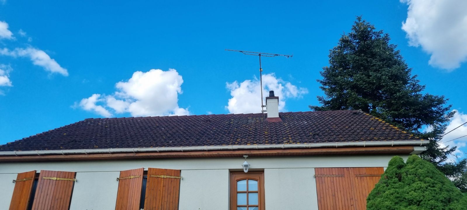 Photo n° 1 de l'avis de Françoise. fait le 11/10/2023 à 17:07