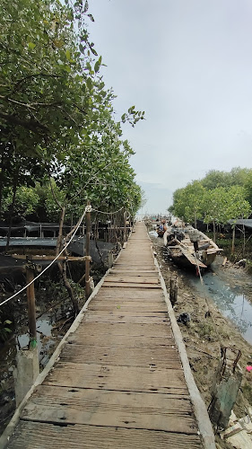 Wisata Zona Mangrove Kasih Sayang