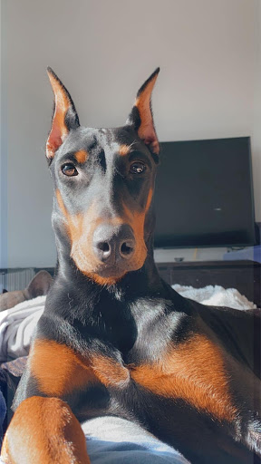 305 Marshall Way, Mars, PA 16046, USA