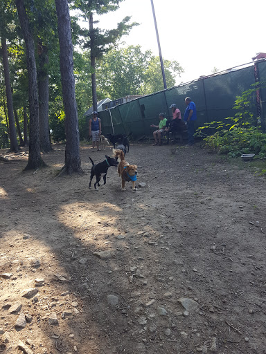 Dog Park «Beverly Dog Park», reviews and photos, L P Henderson Rd, Beverly, MA 01915, USA