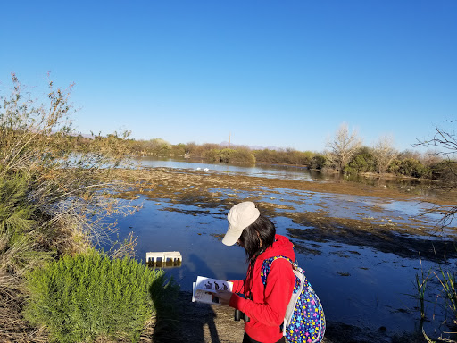 National Reserve «Riparian Preserve at Water Ranch», reviews and photos, 2757 E Guadalupe Rd, Gilbert, AZ 85234, USA