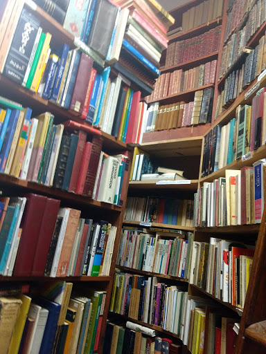 Book Store «D G Wills Books», reviews and photos, 7461 Girard Ave, La Jolla, CA 92037, USA