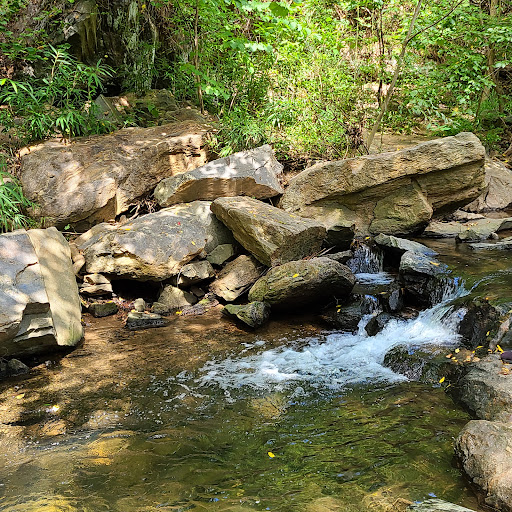 Botanical Garden «Botanical Gardens At Asheville», reviews and photos, 151 W .T. Weaver Blvd, Asheville, NC 28804, USA