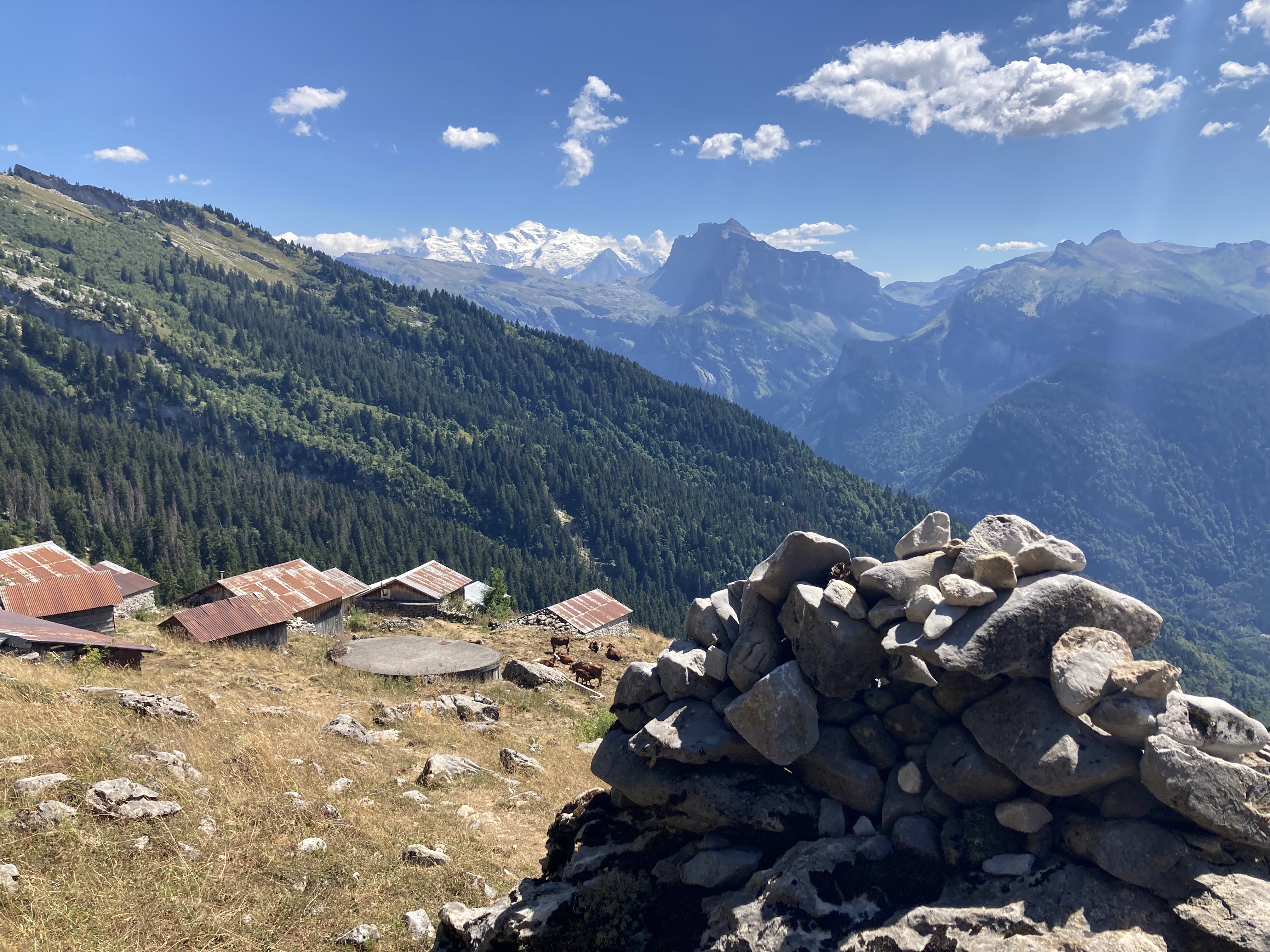 Photo n° 1 de l'avis de Morgan.a fait le 07/08/2022 à 17:21