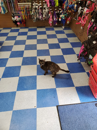 Pet Store «safari pets», reviews and photos, 808 W Main St, Cabot, AR 72023, USA