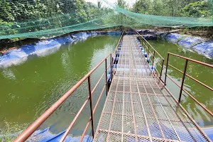 Haritha bio park panamkuzhi image