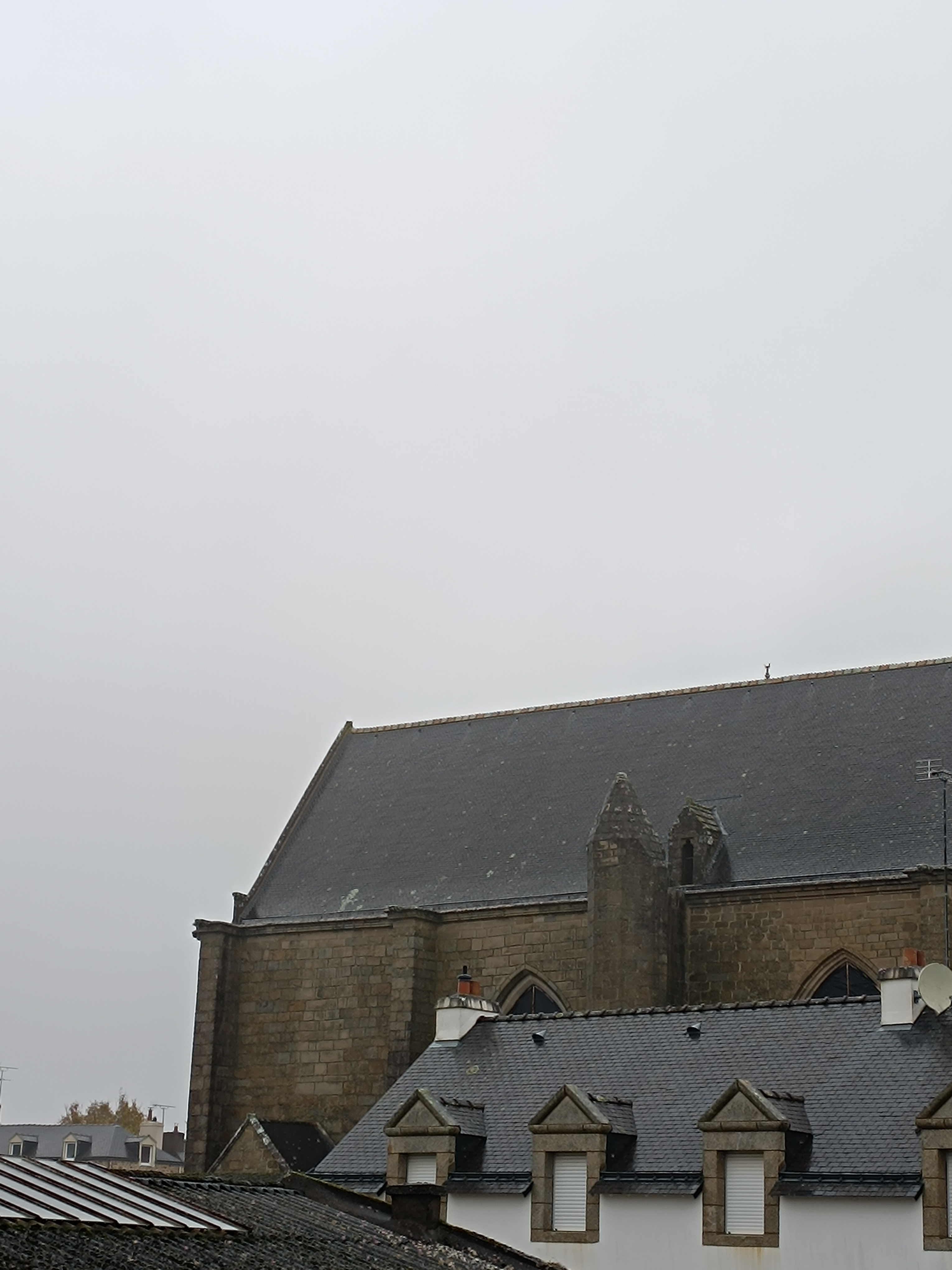Photo n° 1 de l'avis de 8.i fait le 08/11/2023 à 15:29