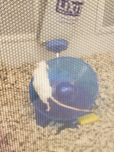 Pet Supply Store «Petco Animal Supplies», reviews and photos, 168 Ames Dr, Barre, VT 05641, USA