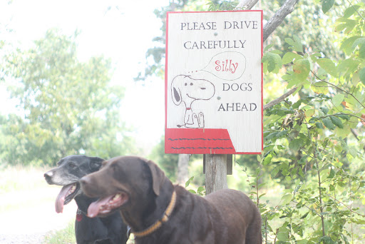 Craft Store «Brushy Fork Creek Gallery», reviews and photos, 1550 Pleasant Greenhill Rd, Crofton, KY 42217, USA