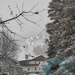 Photo n°2 de l'avis de Gianni.. fait le 09/12/2022 à 08:31 sur le  Hotel Castor à Champoluc