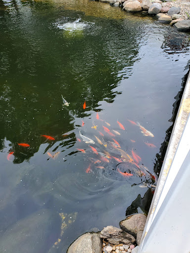 Zoo «Sibley Farm», reviews and photos, 900 Mound Avenue, Mankato, MN 56001, USA