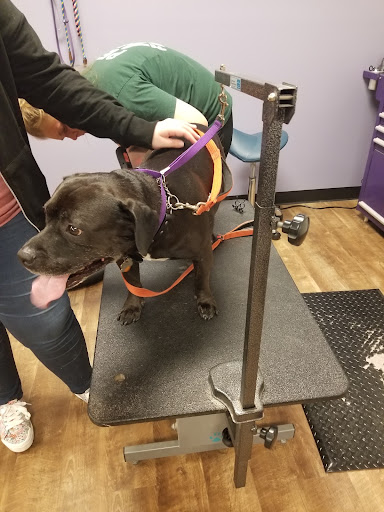 Pet Supply Store «EarthWise Pet Panama City», reviews and photos, 632 W 23rd St, Panama City, FL 32405, USA