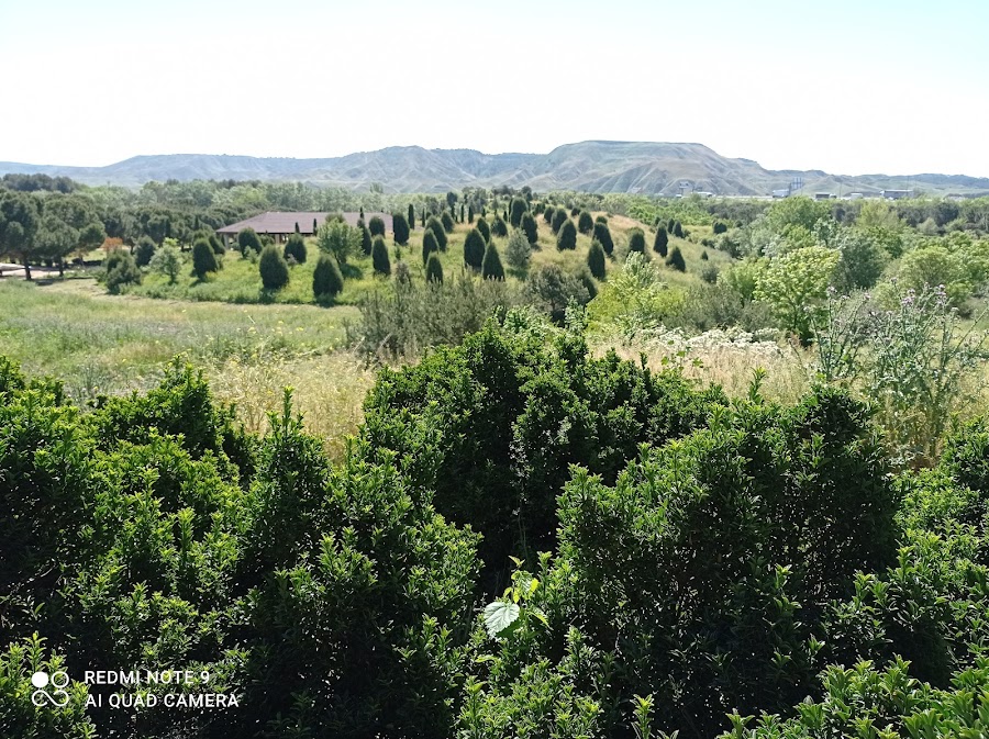 Real Jardín Botánico de la Universidad de Alcalá