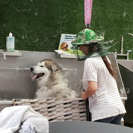 Pet Supply Store «Pet Haven», reviews and photos, 626 N Glenoaks Blvd, Burbank, CA 91502, USA