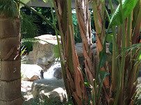 Accurate Accounting - Photo 9 - Car repair in Murrieta, CA, Hemet