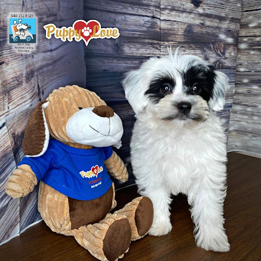 Pet Store «Puppy Love», reviews and photos, 4802 Valley View Blvd NW Uf290, Roanoke, VA 24012, USA