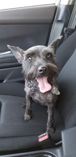 Park «Blackie Chesher Park», reviews and photos, 1100 N Zaragoza Rd, El Paso, TX 79907, USA