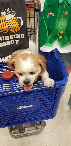 Pet Supply Store «PetSmart», reviews and photos, 30 Malphrus Rd, Bluffton, SC 29910, USA