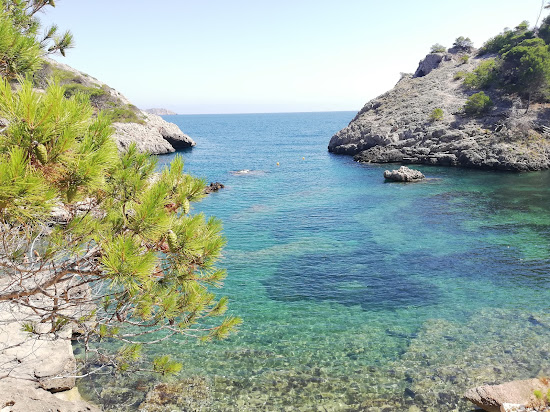 Calo d'en Monjo