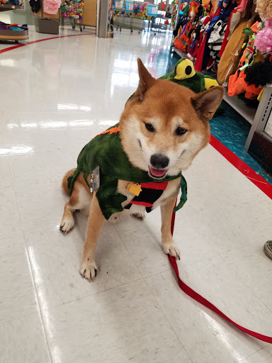 Pet Supply Store «Petco Animal Supplies», reviews and photos, 1209 New Brunswick Ave, Phillipsburg, NJ 08865, USA