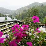 Photo n°1 de l'avis de Mario.h fait le 09/08/2020 à 21:15 sur le  National Park Hotel & Spa à Trepido'