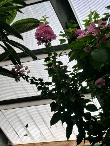 Garden «The Butterfly Place», reviews and photos, 120 Tyngsboro Rd, Westford, MA 01886, USA