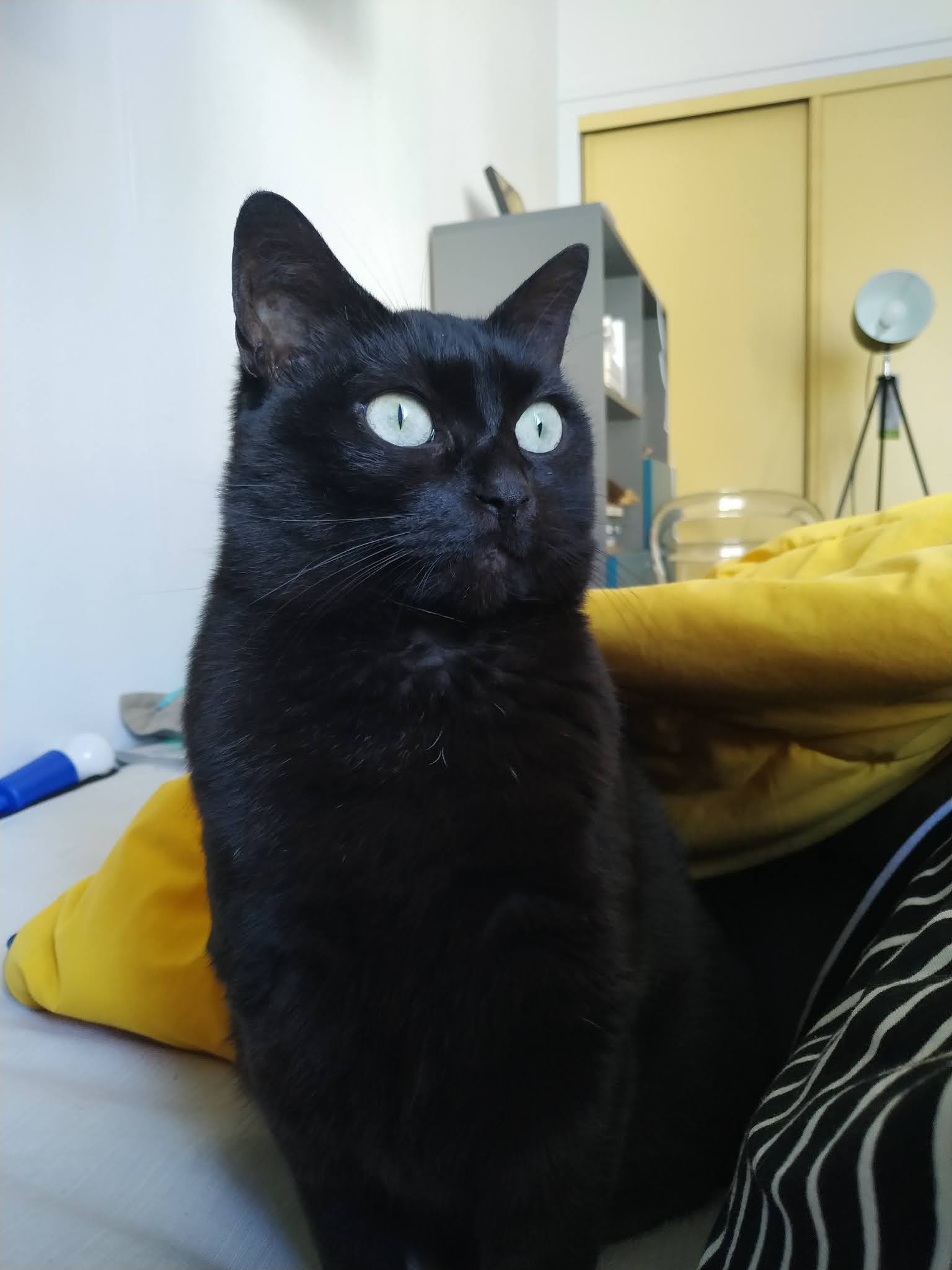 Photo n° 1 de l'avis de Anne.a fait le 18/07/2020 à 09:31