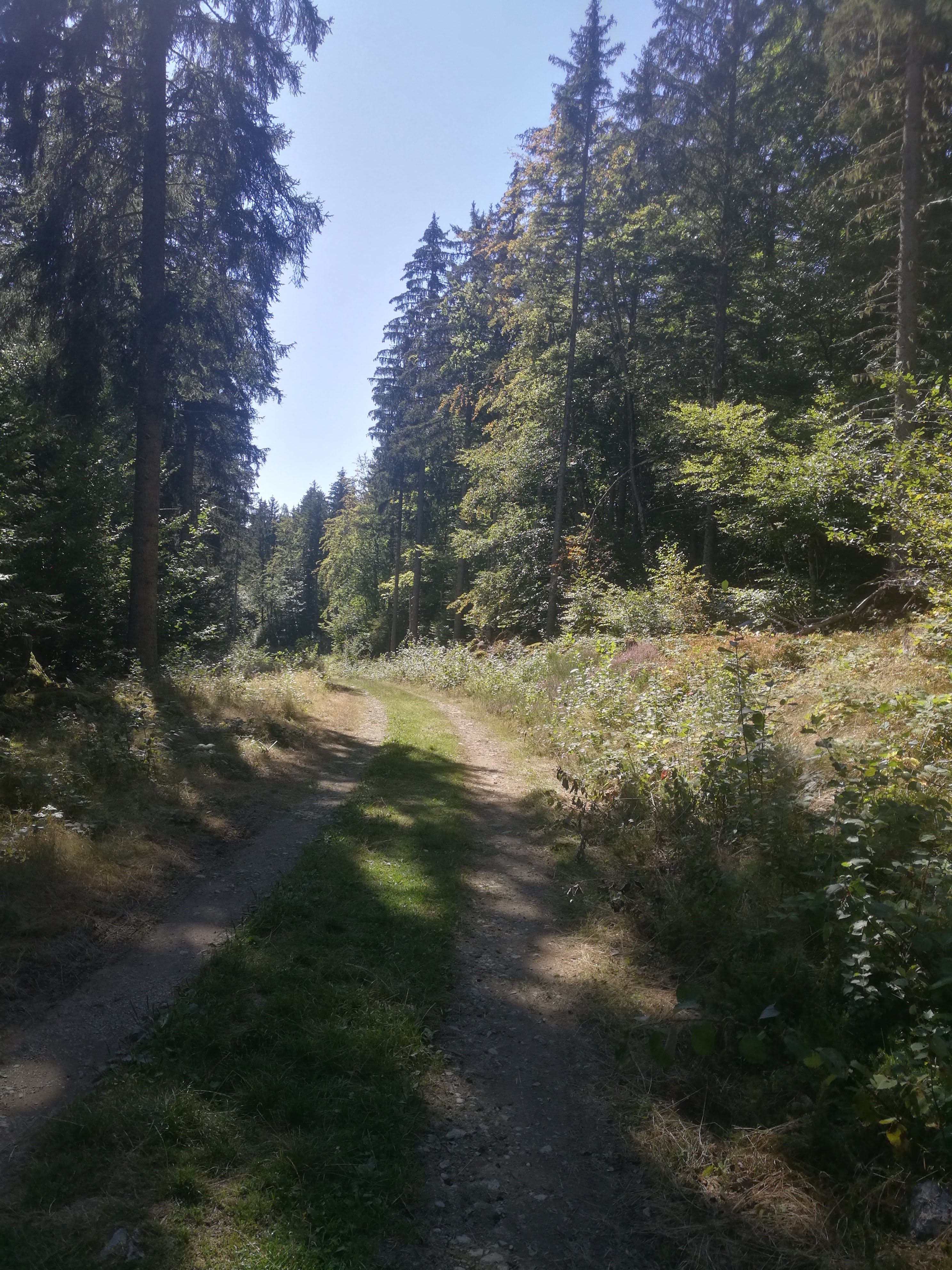 Photo n° 2 de l'avis de Rolland.a fait le 08/09/2020 à 14:44