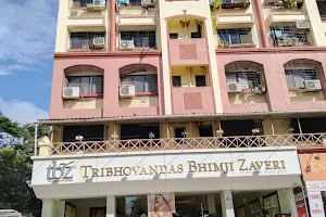 Tribhovandas Bhimji Zaveri (TBZ - The Original), Vasai image