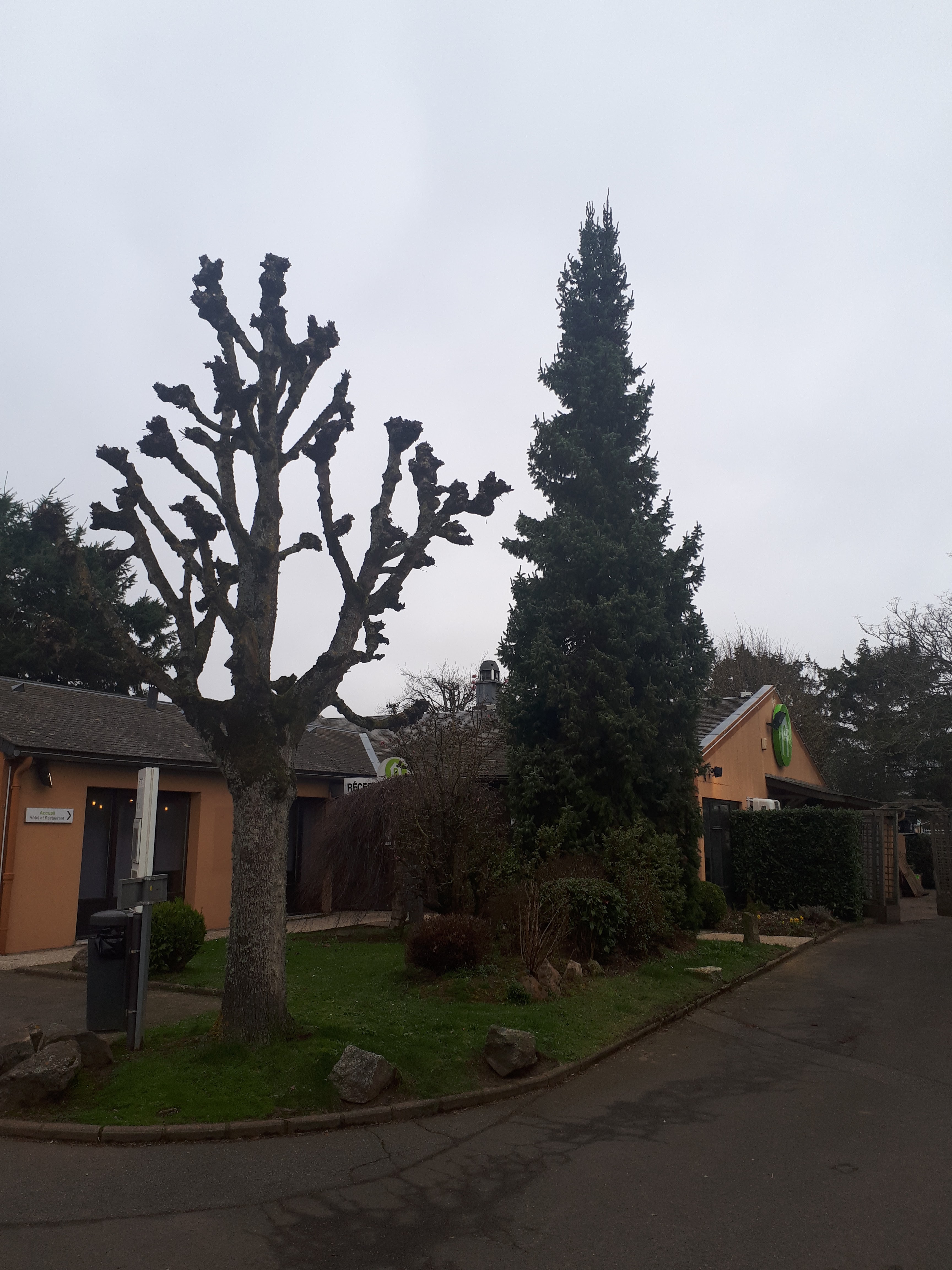 Photo n° 2 de l'avis de Didier.D fait le 23/02/2020 à 11:13