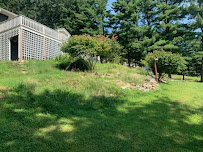 Quality Lawn Care LLC | Residential, Lawn Mowing, Landscaping & Full Property Maintenance - Photo 4 - Car repair in Braddock Heights, MD, Frederick