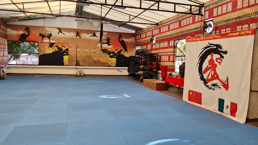 Escuela Kung Fu Jing Wu