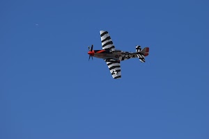 CAFSoCal - Official Commemorative Air Force SoCal Wing - photo 59