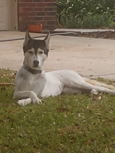 Pet Supply Store «Petco Animal Supplies», reviews and photos, 280 Kensington Blvd, Slidell, LA 70458, USA