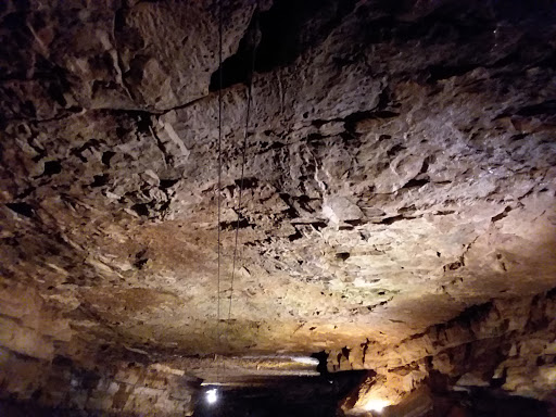 Tourist Attraction «Bluespring Caverns Park», reviews and photos, 1459 Blue Springs Cavern Rd, Bedford, IN 47421, USA