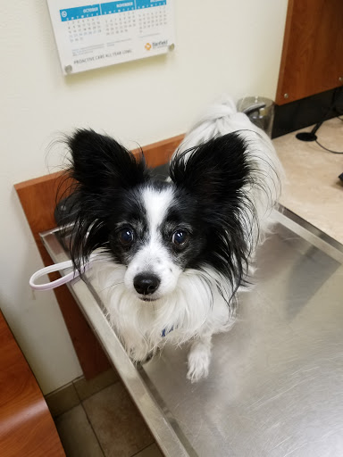 Pet Supply Store «PetSmart», reviews and photos, 200 S Village Center Dr, Southlake, TX 76092, USA