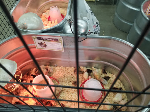 Home Improvement Store «Tractor Supply Co.», reviews and photos, 5431 Southern Maryland Blvd, Lothian, MD 20711, USA