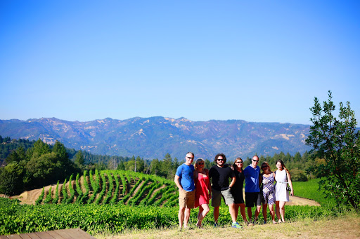 Green Hills Tours / Cruise And Grooves: SF City Tours | Wine Tours | Muir Woods
