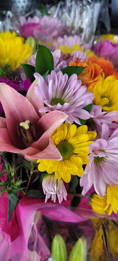 Grocery Store «Winn-Dixie», reviews and photos, 6257 US-1, Port St John, FL 32927, USA