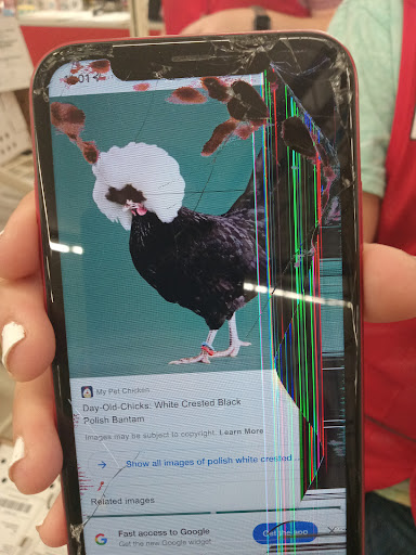 Home Improvement Store «Tractor Supply Co.», reviews and photos, 150 The Acres, Lewisburg, TN 37091, USA